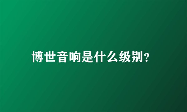 博世音响是什么级别？