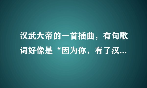 汉武大帝的一首插曲，有句歌词好像是“因为你，有了汉族”还是什么，记不太清了，