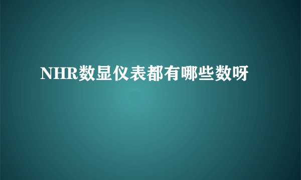 NHR数显仪表都有哪些数呀