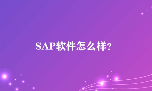 SAP软件怎么样？
