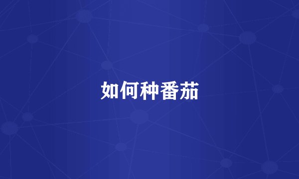 如何种番茄