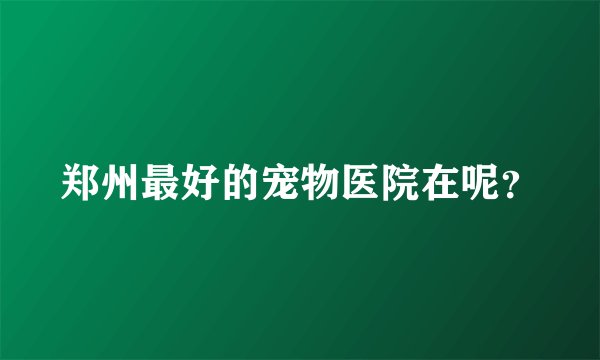 郑州最好的宠物医院在呢？