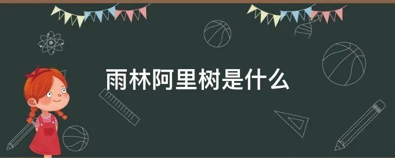 雨林阿里树是什么