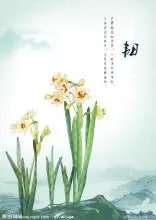 关于水仙花的诗歌？