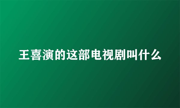 王喜演的这部电视剧叫什么