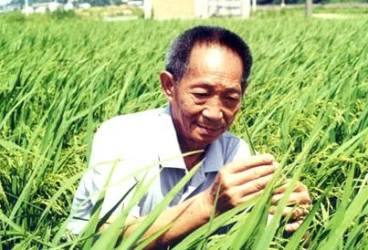是什么支撑着89岁高龄的袁隆平还在努力?