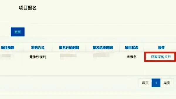 上海市政府采购网上的招标怎么网上投标?