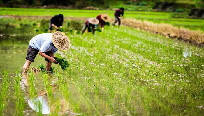 三月的英文缩写是什么 三月英文缩写怎么写