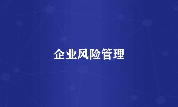 企业风险管理