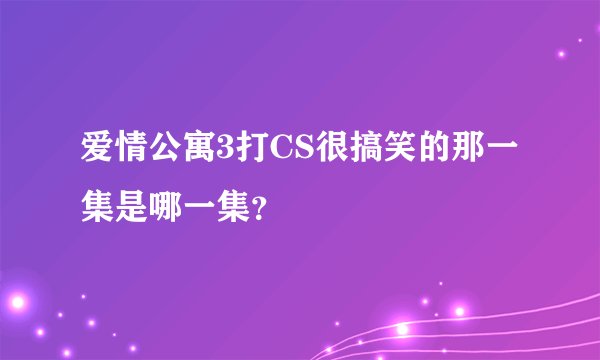 爱情公寓3打CS很搞笑的那一集是哪一集？