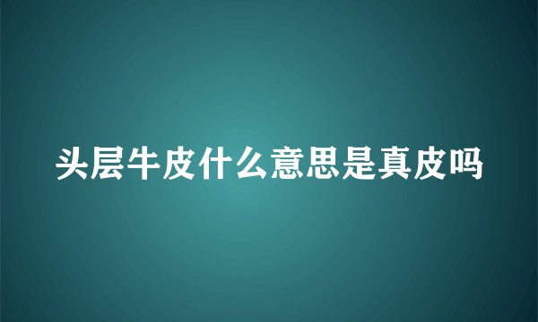 头层牛皮什么意思是真皮吗