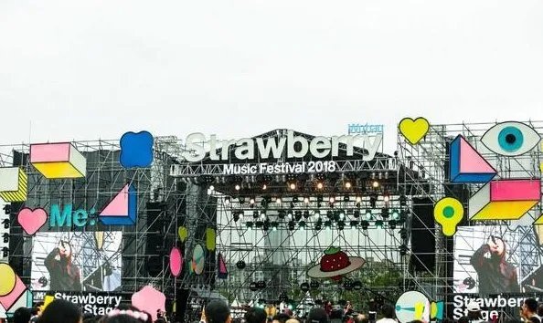 长江草莓音乐节 学生票 进场时一定要拿学生证吗 拿证明自己是学生的东...