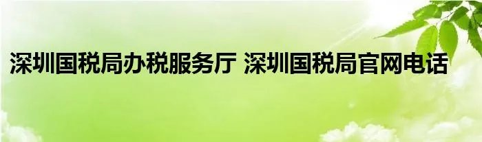 深圳国税局办税服务厅 深圳国税局官网电话