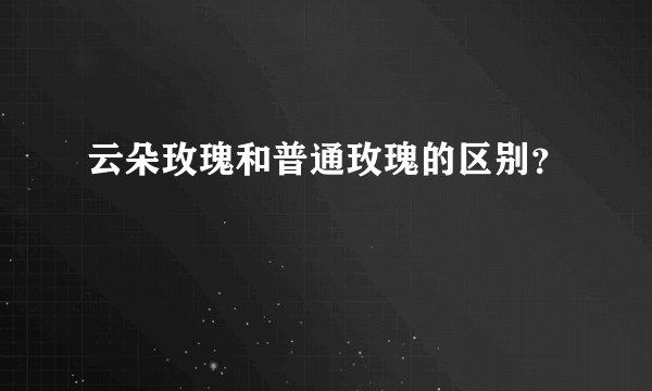 云朵玫瑰和普通玫瑰的区别？
