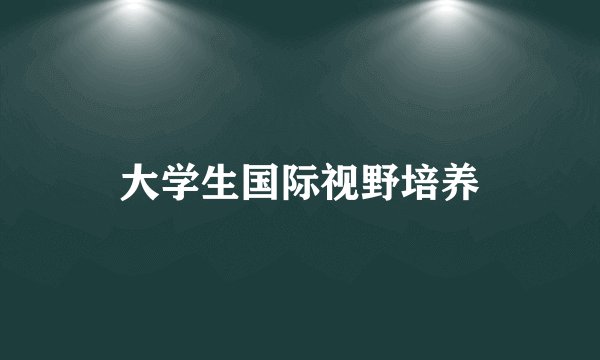 大学生国际视野培养