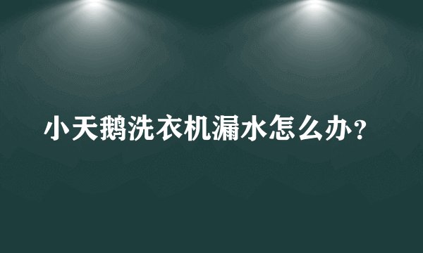 小天鹅洗衣机漏水怎么办？