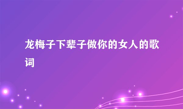 龙梅子下辈子做你的女人的歌词