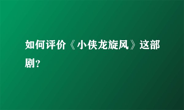 如何评价《小侠龙旋风》这部剧？