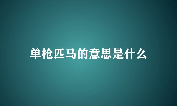 单枪匹马的意思是什么