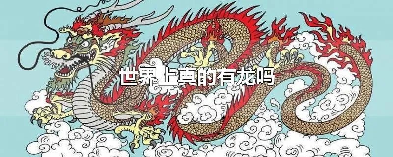 世界上真的有龙吗