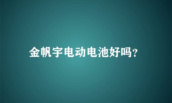 金帆宇电动电池好吗？