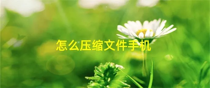 怎么压缩文件手机