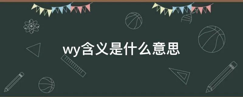 wy含义是什么意思