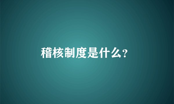 稽核制度是什么？