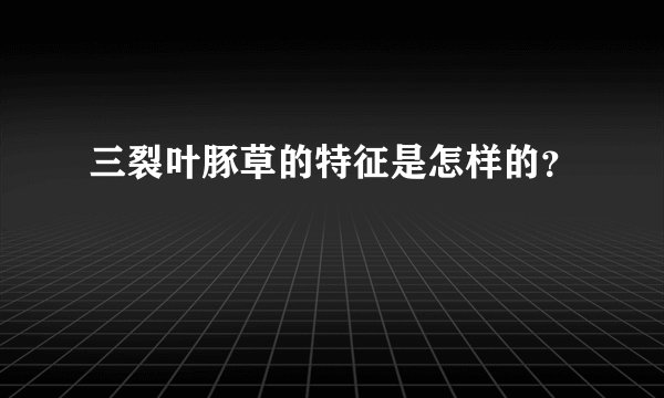 三裂叶豚草的特征是怎样的？