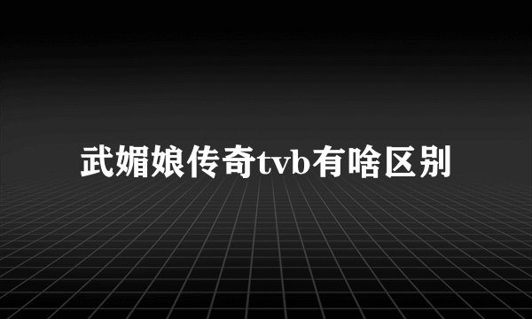 武媚娘传奇tvb有啥区别