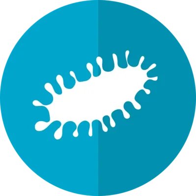 阿米巴原虫感染白带 讲述阿米巴原虫感染原因