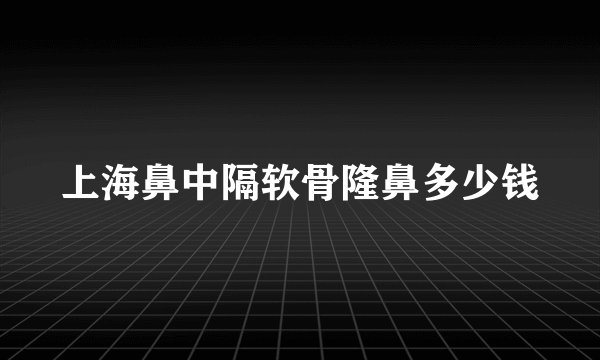 上海鼻中隔软骨隆鼻多少钱