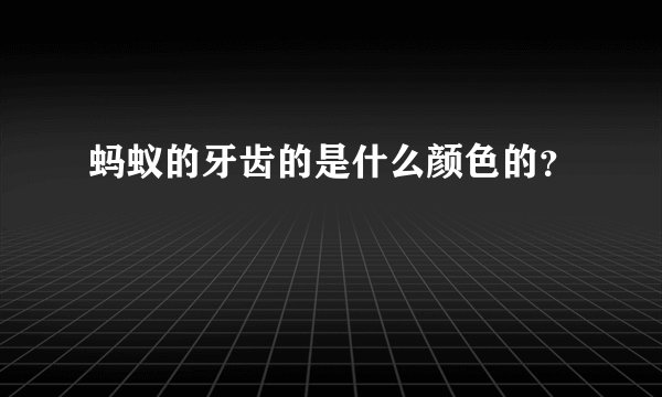 蚂蚁的牙齿的是什么颜色的?