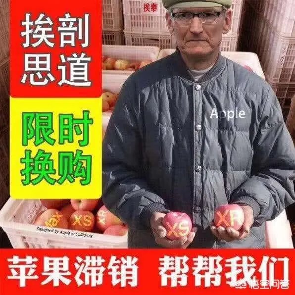 苹果“缩水”的降价,能解决苹果目前在中国的困境吗?