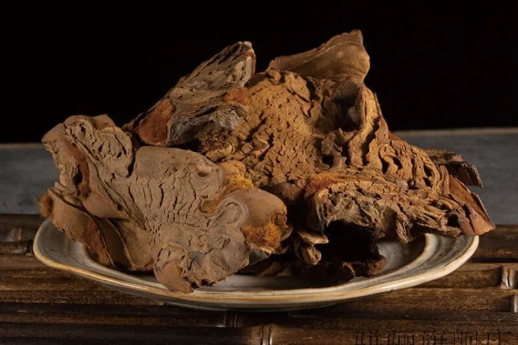 金狗脊的图片