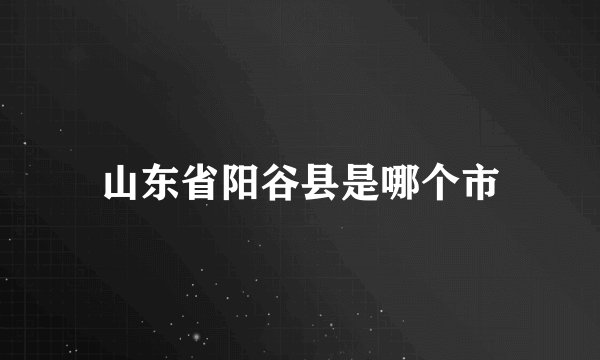 山东省阳谷县是哪个市