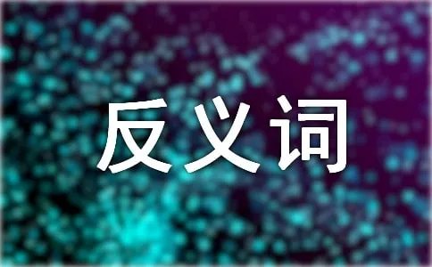可爱的反义词是什么