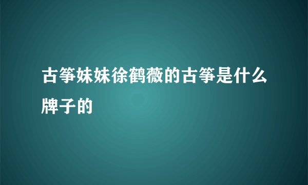 古筝妹妹徐鹤薇的古筝是什么牌子的