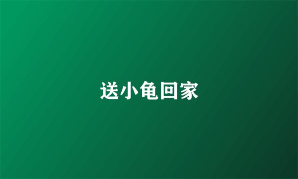 送小龟回家