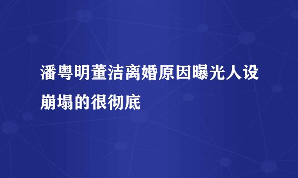 潘粤明董洁离婚原因曝光人设崩塌的很彻底