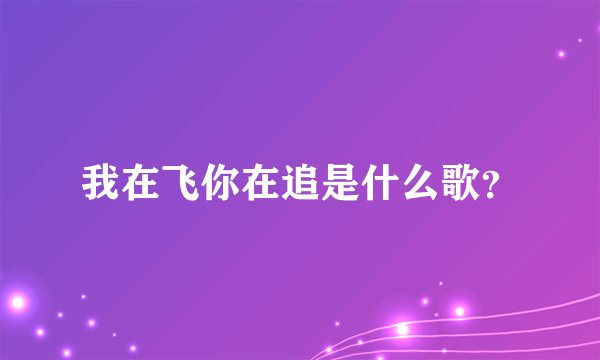 我在飞你在追是什么歌？