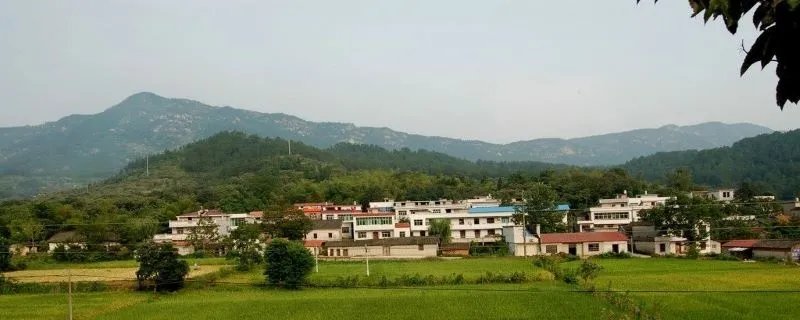 耕地的承包期为多少年