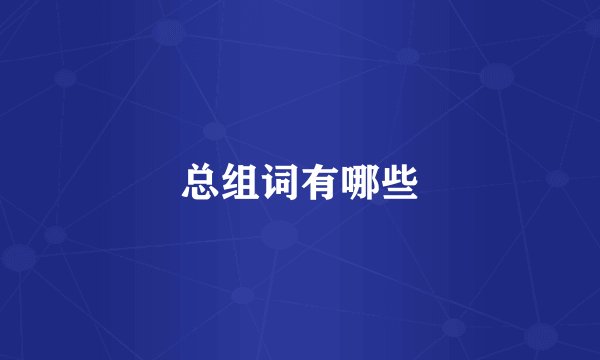 总组词有哪些