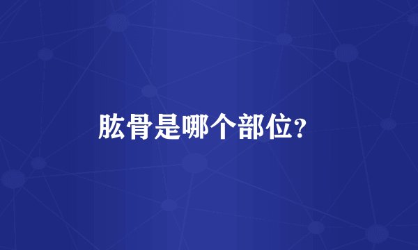 肱骨是哪个部位？