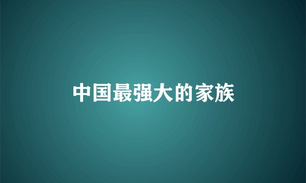 中国最强大的家族