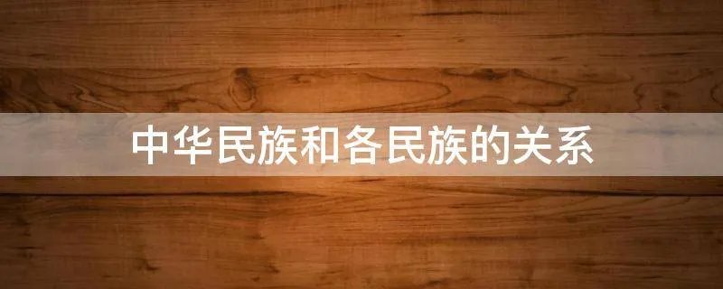 中华民族和各民族的关系