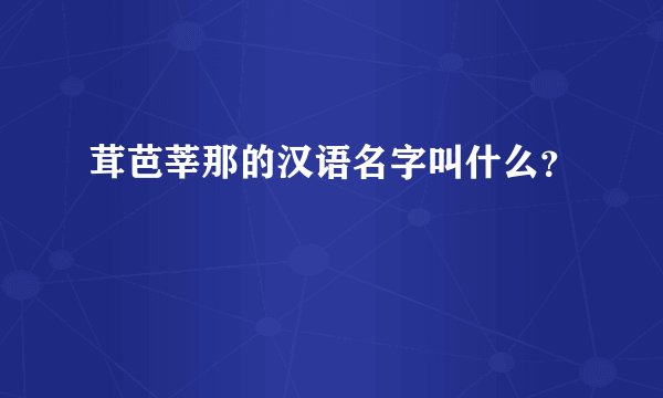 茸芭莘那的汉语名字叫什么？