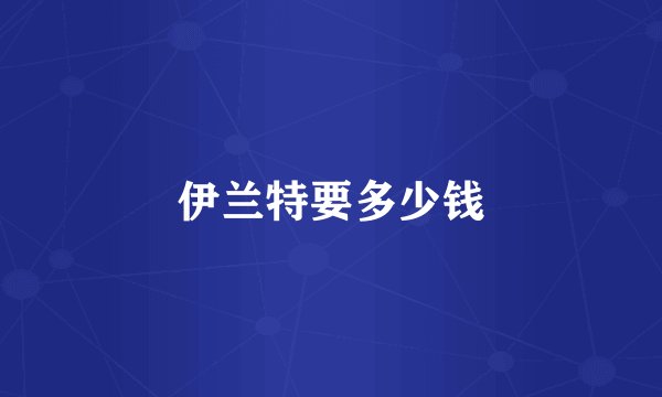伊兰特要多少钱