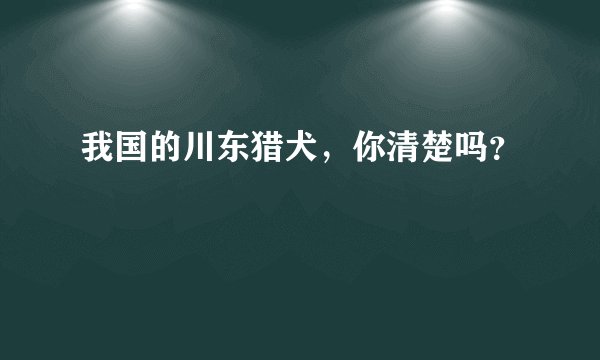 我国的川东猎犬，你清楚吗？