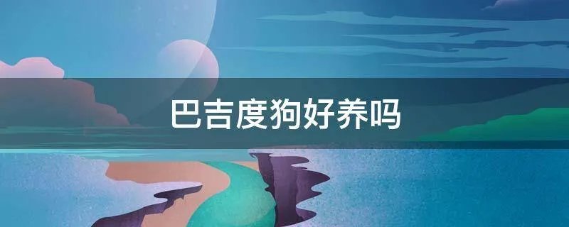 巴吉度狗好养吗